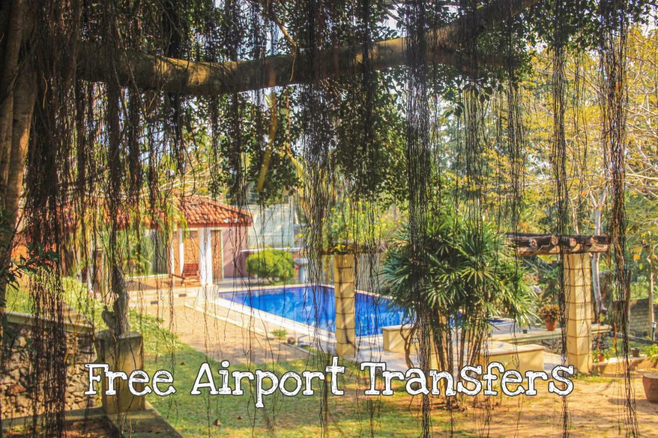 Airport Green Olive Villa Katunayaka Exteriér fotografie
